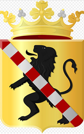 Het gemeentewapen van Schiedam. Het gemeentewapen van Schiedam.